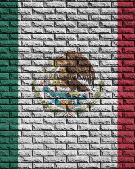 Mercedes Sprinter Transportation to Tijuana and Ensenada Mexico and more...