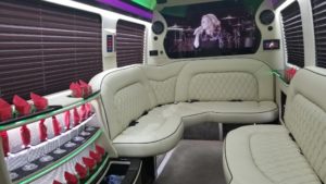 City Captain Mercedes Sprinter Limo Inerior Leather and Flat Screen TV