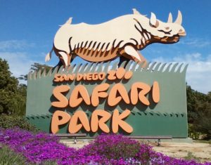 City Captain Transportation to the San Diego Safari Park also known as San Diego Wild Animal Park