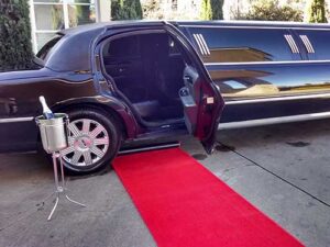 Executive Charters & Limousine rental cost san diego