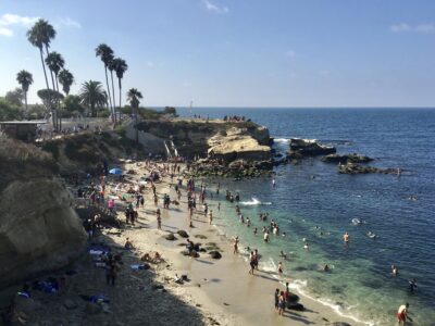 La Jolla cove beach while driving with City Captain Transportation.