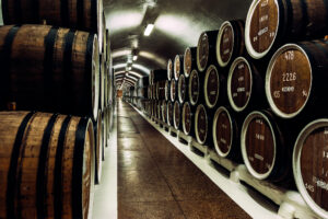 Old barrels in the wine cellar. Brewery, winery tour san diego