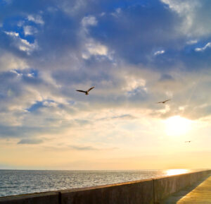 walkway-along-oceanfront